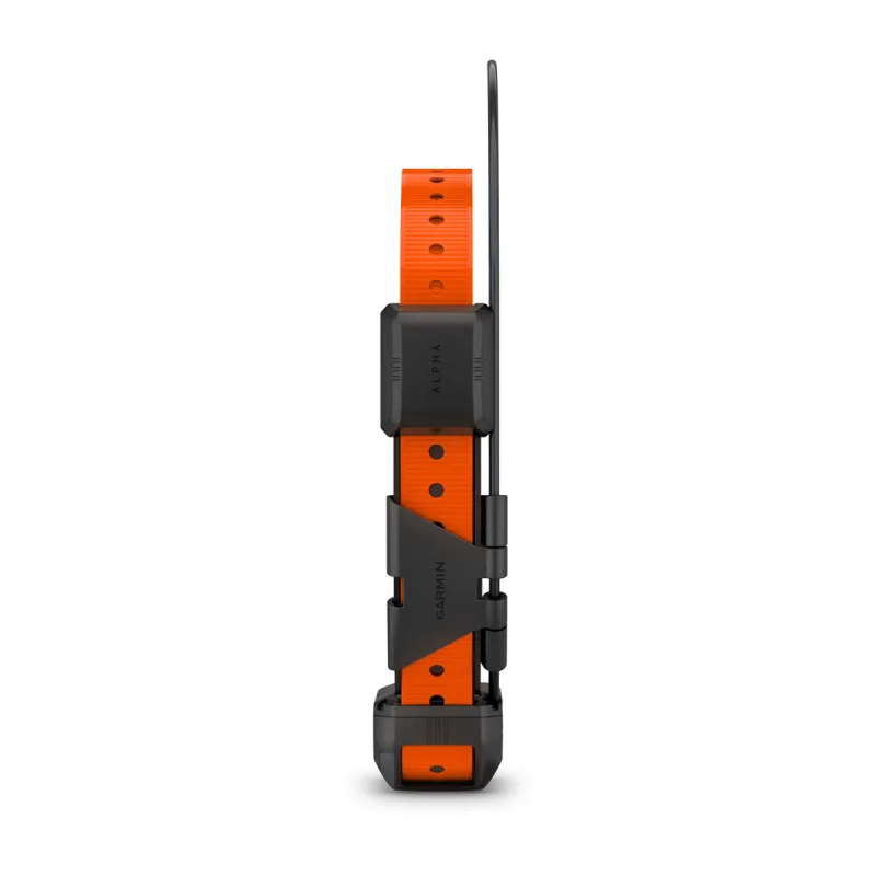 Tt25 2